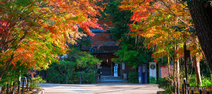 宇治上神社